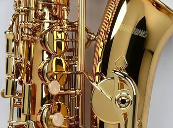 Amazon.com: AS100 Beginner Alto Saxophone : Musical Instruments